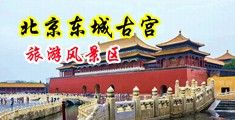 看看操逼片中国北京-东城古宫旅游风景区